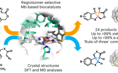 Fasan group publishes on a biocatalytic strategy for polycyclization